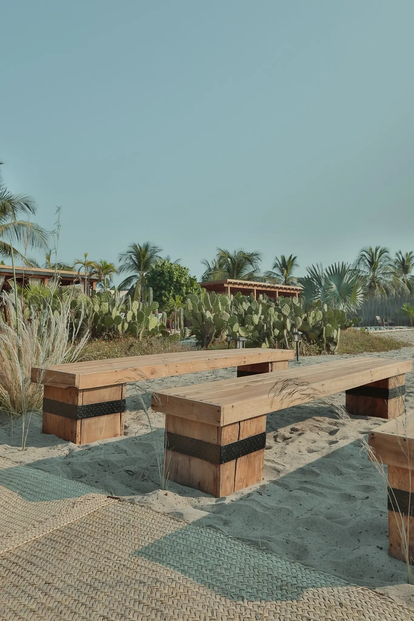 Married couple hold hands facing a sunset